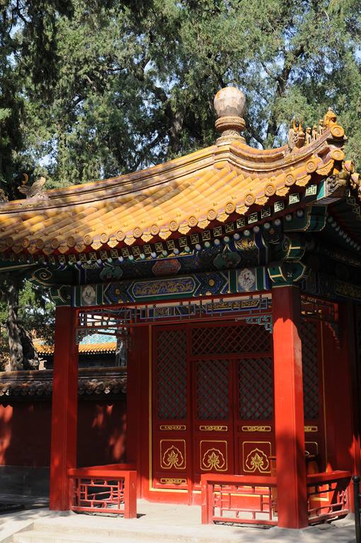 042   Chiny